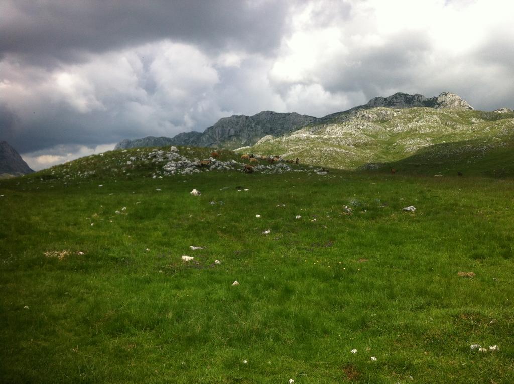 Гостьовий будинок Boskovica Brvnare Жабляк Екстер'єр фото